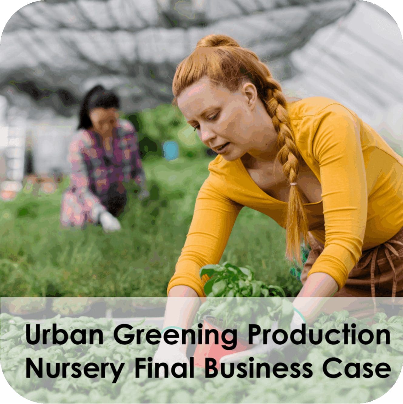 Red-haired woman gardening in greenhouse nursery