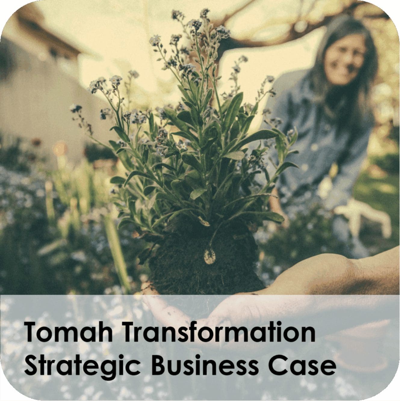 Hand holding seedling with gardener smiling