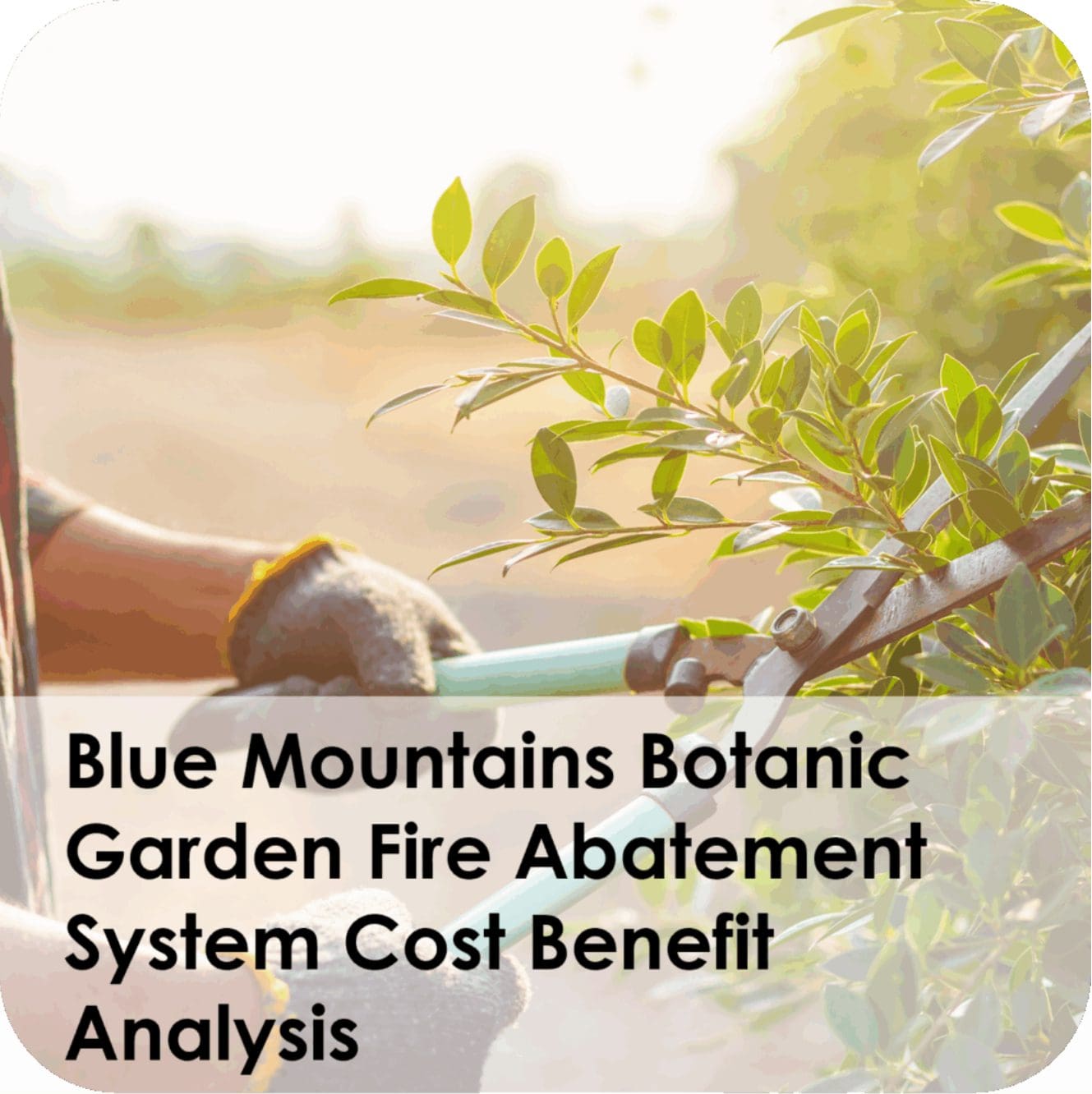 Gloved hands pruning shrub with garden shears