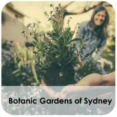 Person holding plant in botanic garden