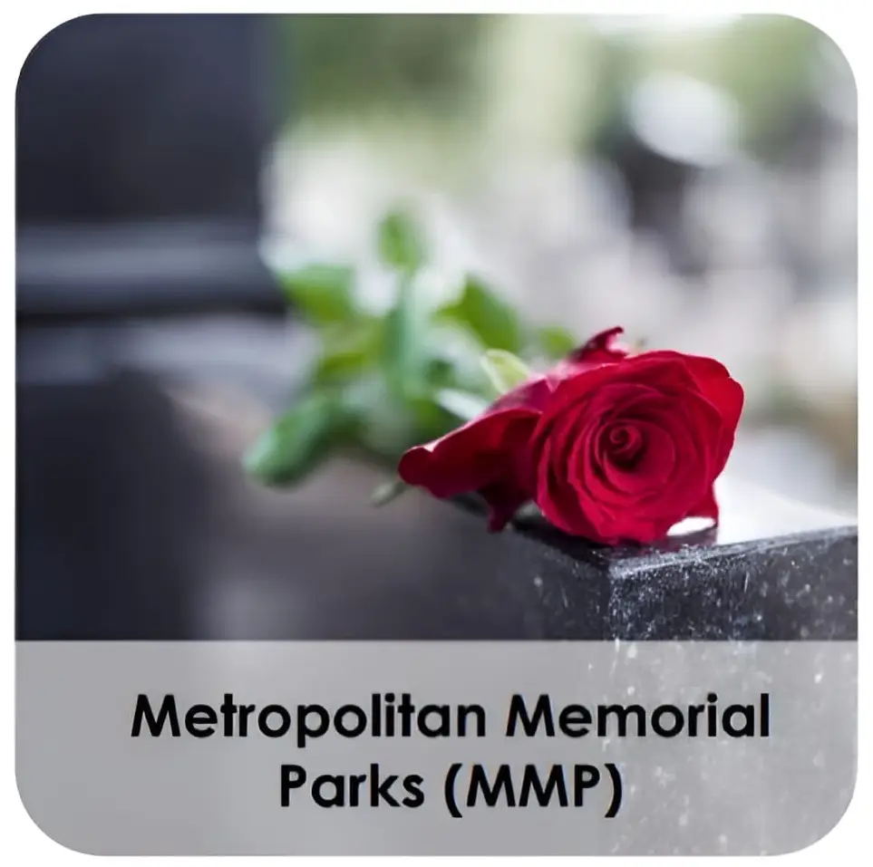 Red rose on memorial stone